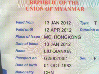 缅甸都开放了哪些类型的签证？